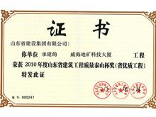 2010年度泰山杯獎（省優質工程）